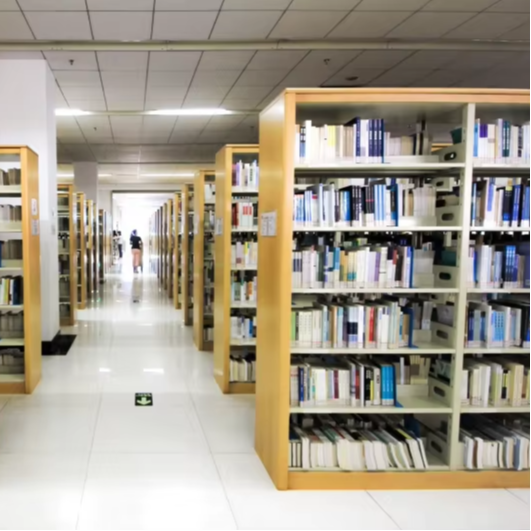 Home Office And Library - Scaffali per libri bifacciali diretti in